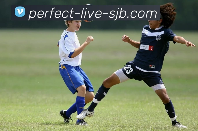 完美对战 Live，完美对战，完美对战官网，完美电竞实时平台，完美对战APP品牌故事