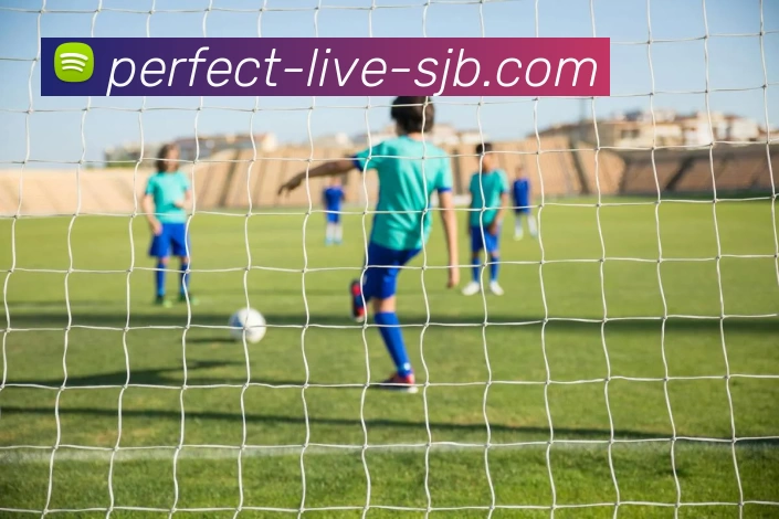 完美对战 Live，完美对战，完美对战官网，完美电竞实时平台，完美对战APP服务体系